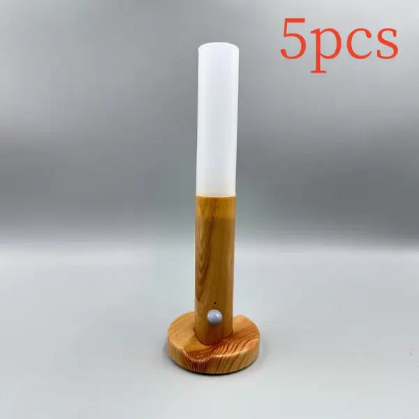 LED Night Light Motion Sensor USB Charging Intelligent Wardrobe Lamp